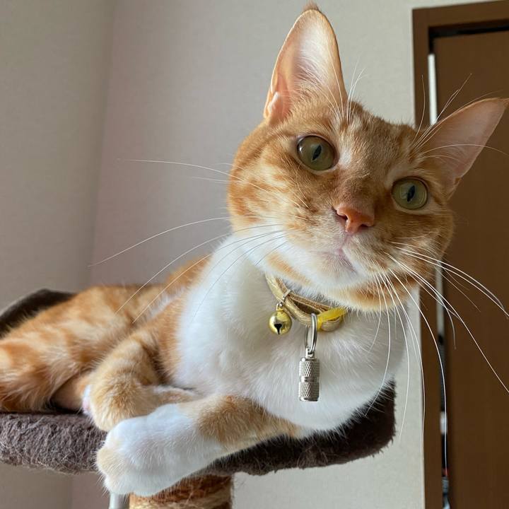 220e47d9 875a 4ef0 a864 fe0c04dba13f 1592547858727