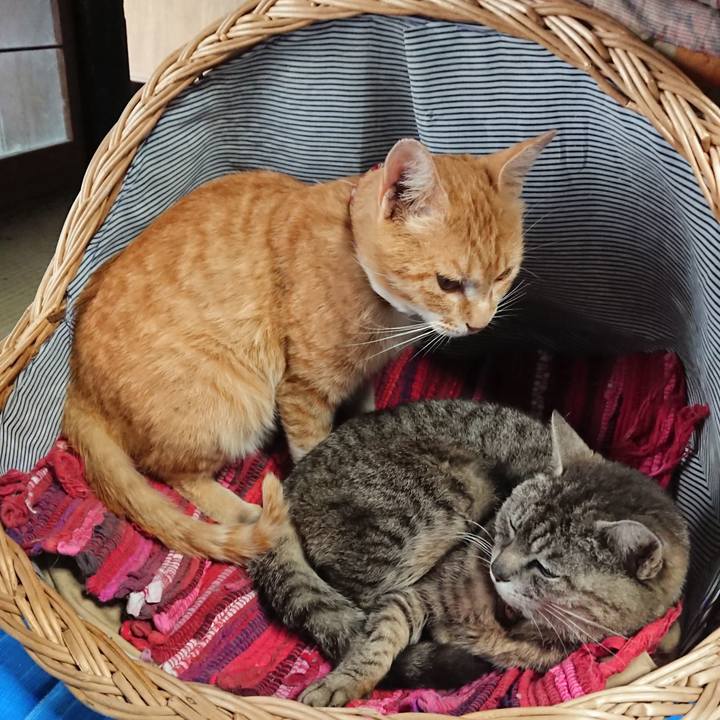 220e4e75 5e5d 4063 a88e e78fcc87d3c9 1560668744655