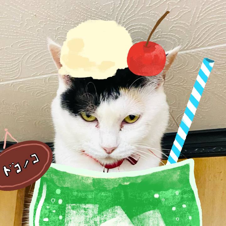 220ee428 808f 4491 b3df 984ecc27f838 1755356982473