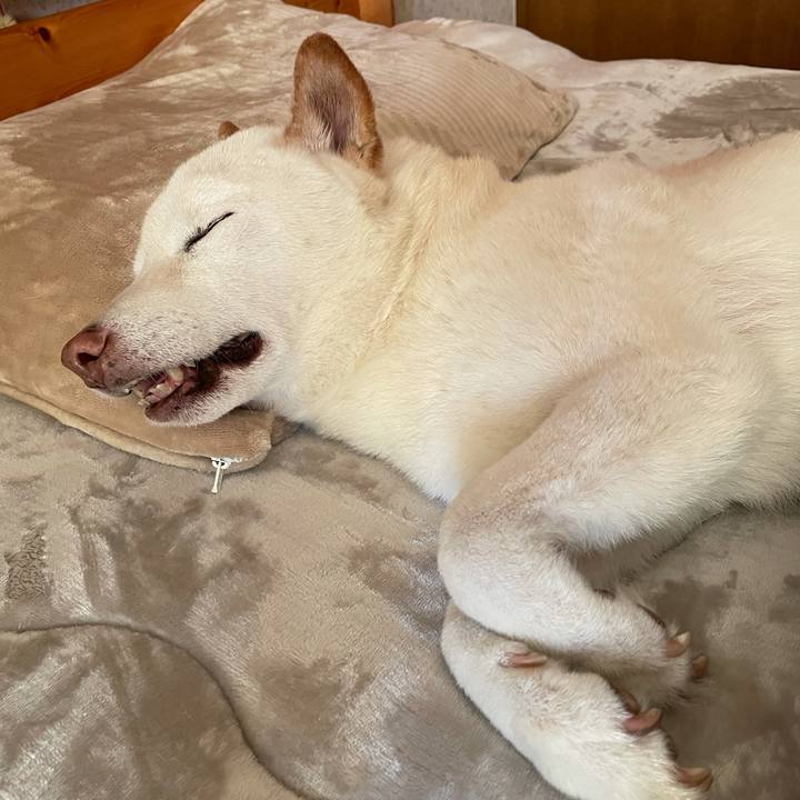 220ee8b5 60b5 440f b784 aa1d8980d6de 1635036757146