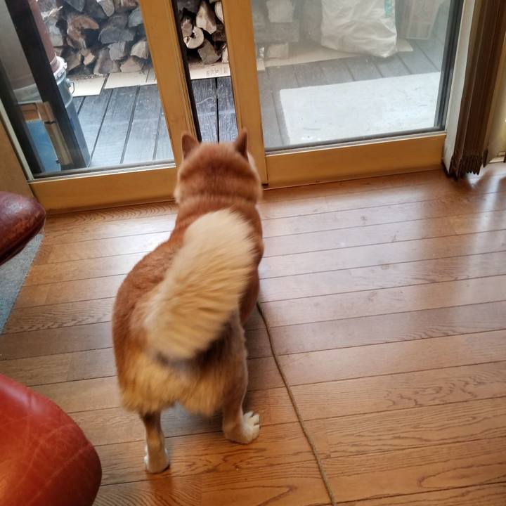 220f2d9e bc97 4e1b baec fda7fb2f3337 1696805661753