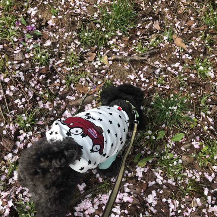 220f31e2 b843 4d9a a8a8 f613362c4bd4 1617460919092