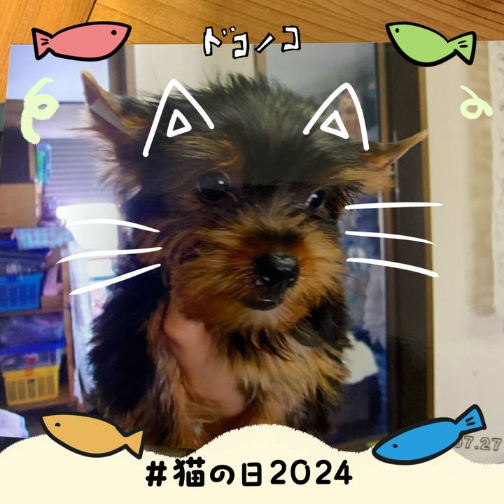 220f4fad 9329 4f7f 8c09 9e907fc74d00 1708603053297