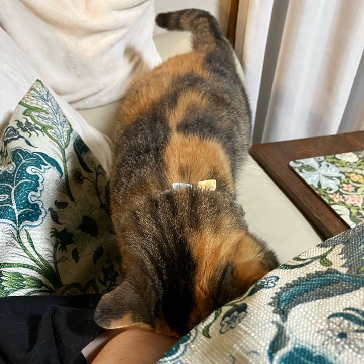 220f90f5 d0be 45eb a4a4 77d1a6cf2f76 1776167026595