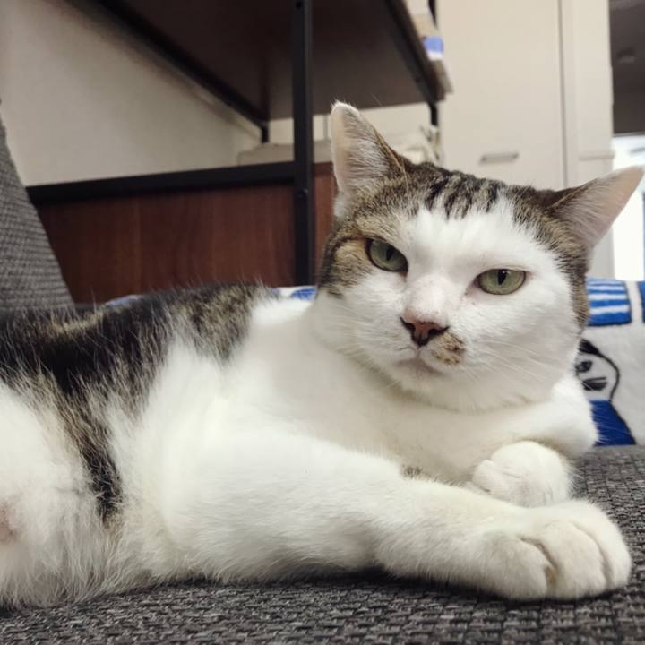 220facfb 1360 4b3c adcb 440d3daed270 1596779570429