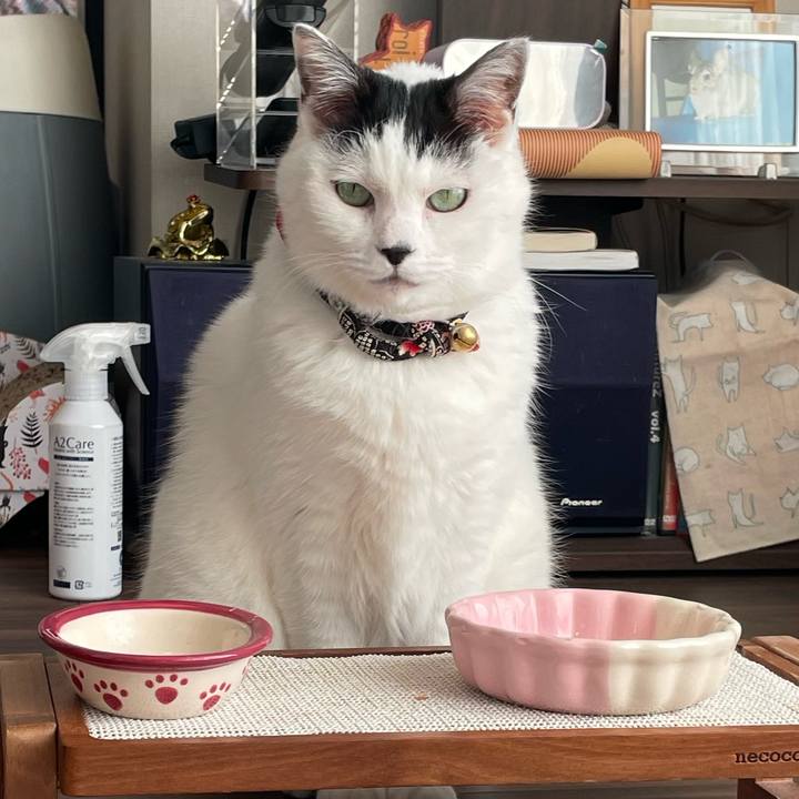 220fb5bd ddff 455d b434 dc5d9221e264 1709448618439