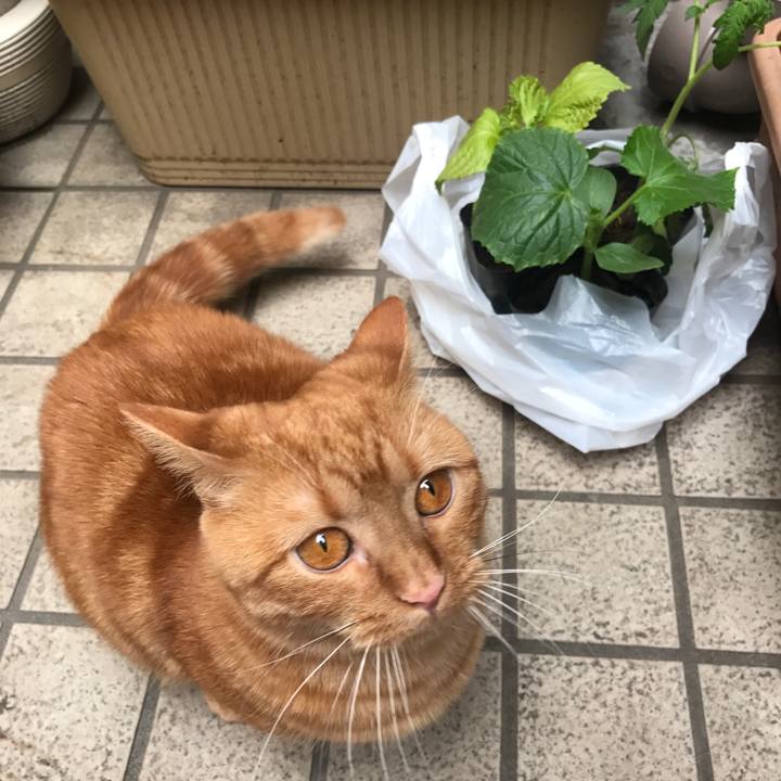 220fdfee 2a26 441a 9080 465c0d36f1db 1524724544913