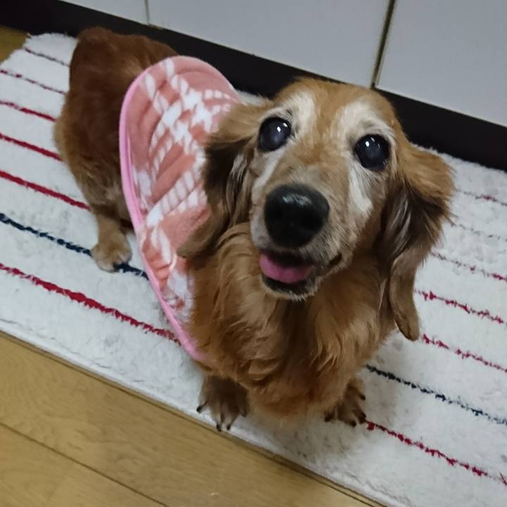 220fdfef b843 43d4 bbe2 2b9375f3688e 1513408173428