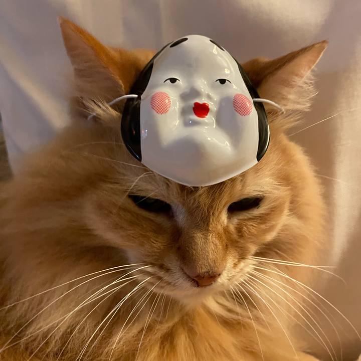 220ff60f 822e 4fae b5e8 771c7e71deb6 1770127794985