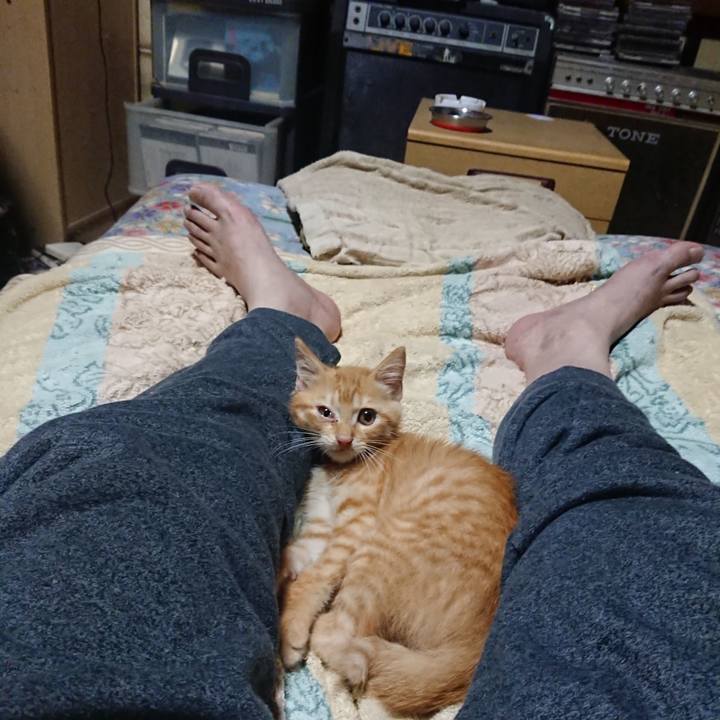 22105176 25d4 47ca a8ca a951bbd83334 1629808302055