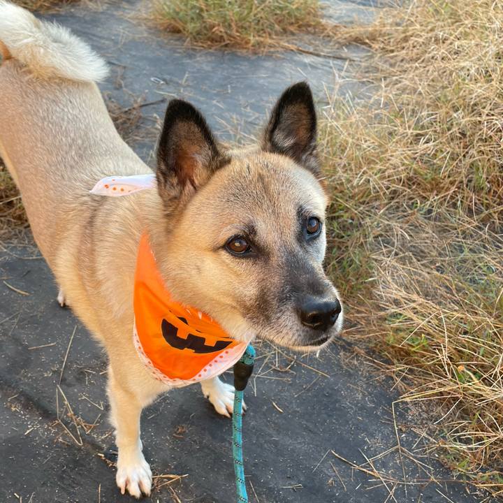 221060a8 7119 4d49 9df0 74f30272cceb 1698063592646