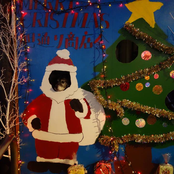 221064c8 f56d 403b a1b7 c15df2fccd7c 1545392402997