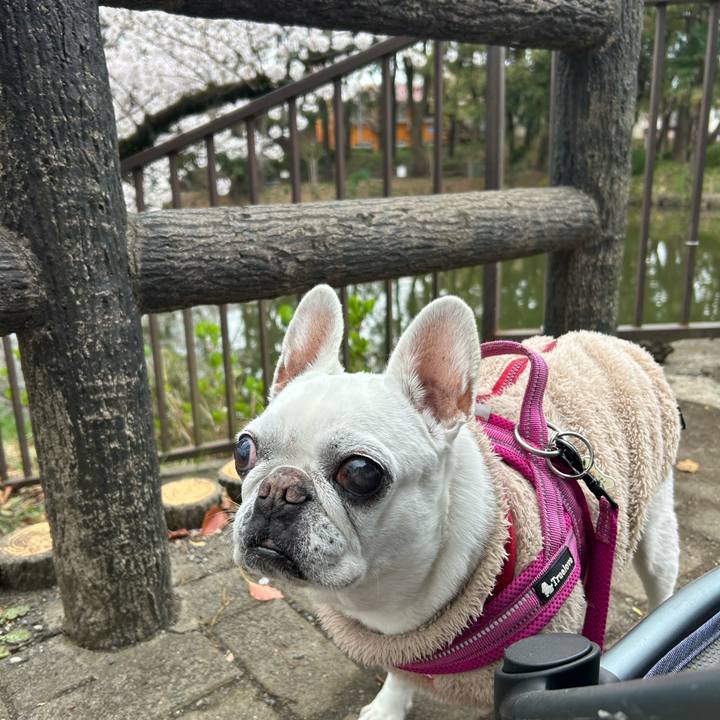 22107b09 4ad5 461e 9428 58c74c851dc6 1743685064599