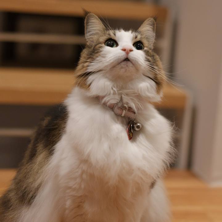 2210a631 da71 49a9 8139 48d845fd0f57 1735117911475