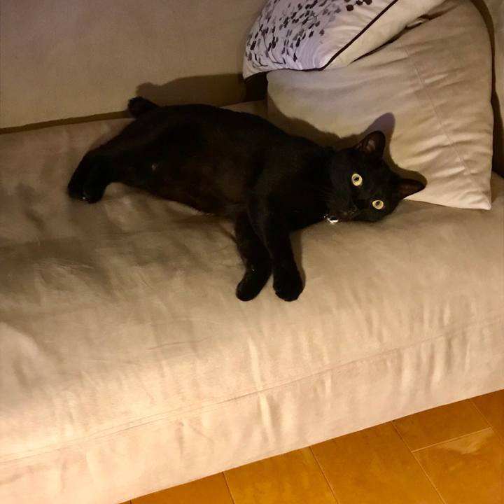 2210ba88 5747 4ae1 851e 8ba41f3299e0 1525008187916