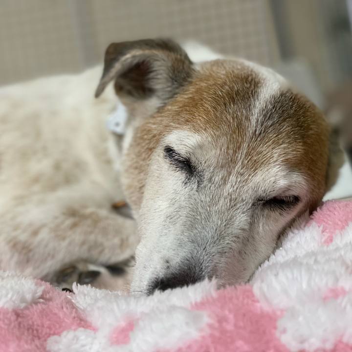 2210c835 1c0a 4590 bafb 0397b70d96ac 1625172887377