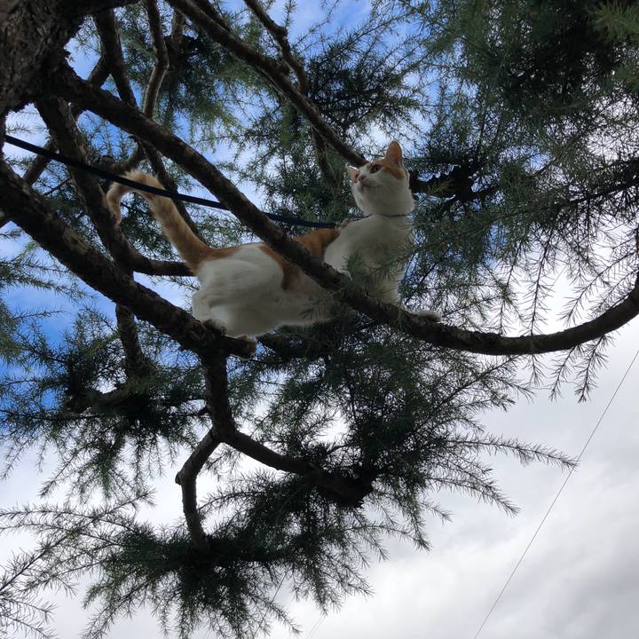 2210ce4c 891a 43bb 9d91 599d654f9be0 1540962520474