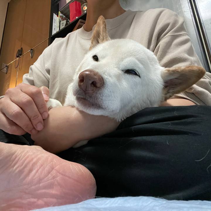 22111026 ebee 4ad3 baa0 2a3edcc7c0fa 1638543581108