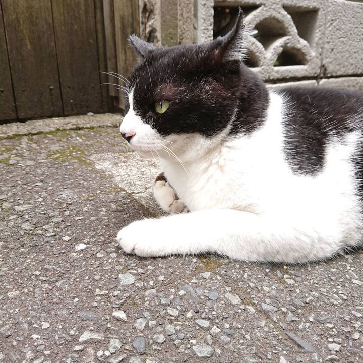 2211243f c915 40cf aa34 088488afa0b1 1624762406600