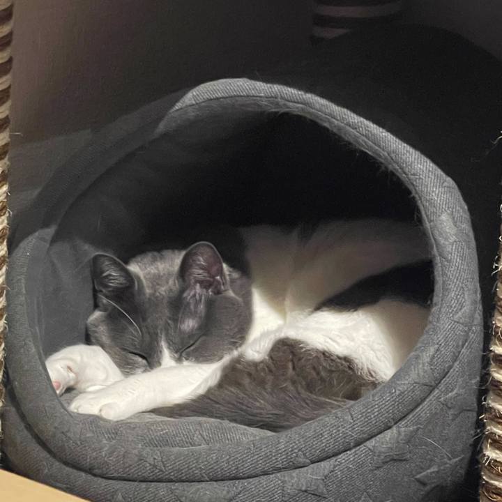 22113fb2 c02b 474f 84db ac2f60edcc7c 1668768260340