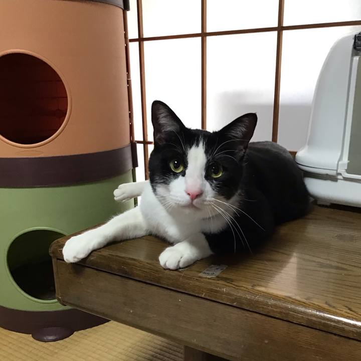 22119f20 222f 4a69 88bf fce79cc379bc 1683708717780