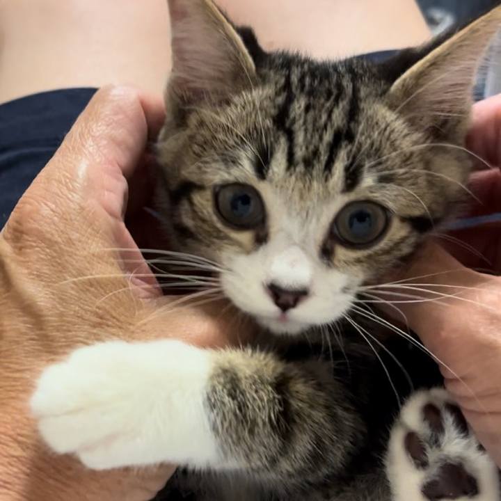 2211c71a 0790 40df 9491 36365abc3a81 1688540829993