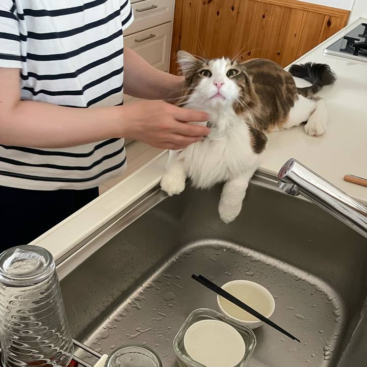 2211d50e 7439 44ec bb0d 3432592fa174 1660430069435