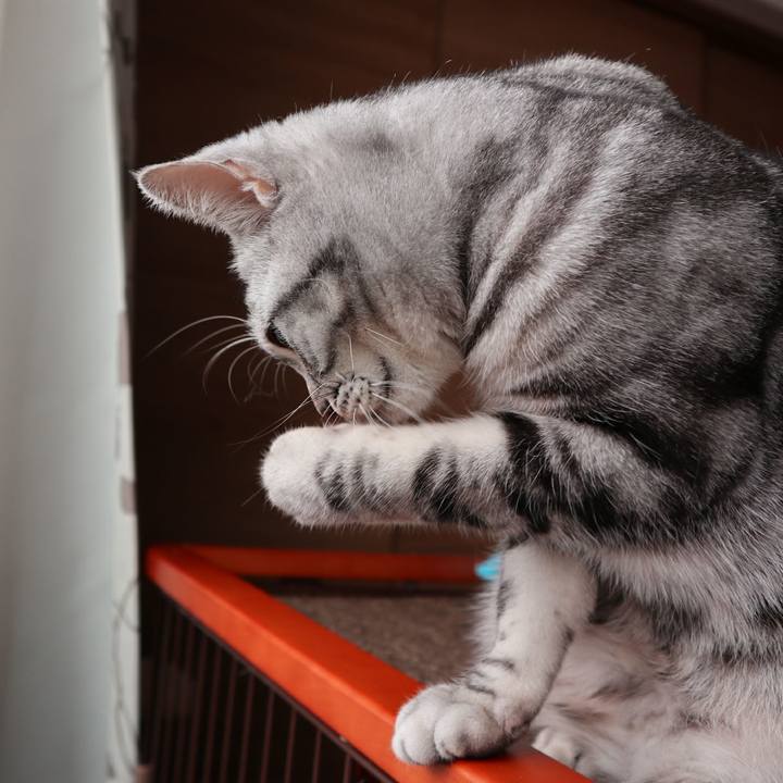 2211d93a 8de0 4c34 a554 99306edb954c 1585869696540