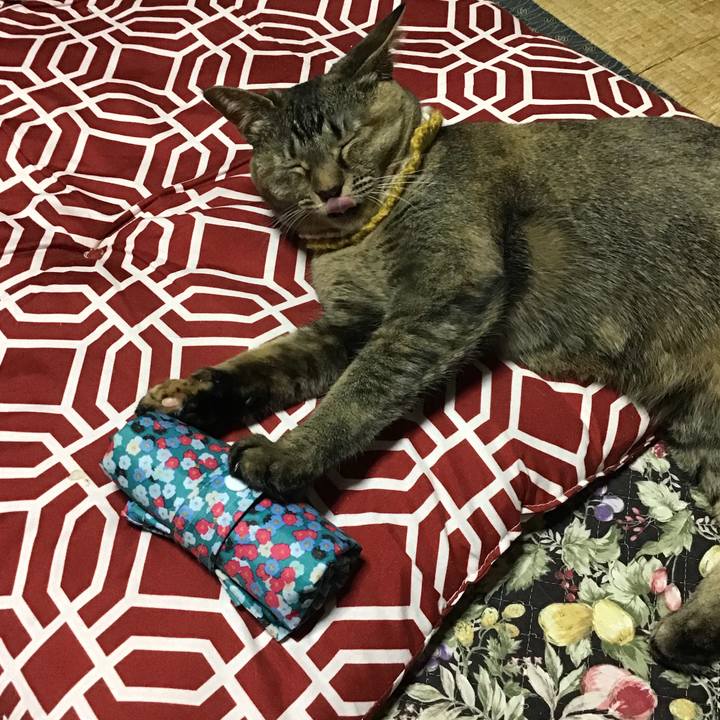 2211d984 588c 48d9 b88f 30346e4bb508 1622692499735