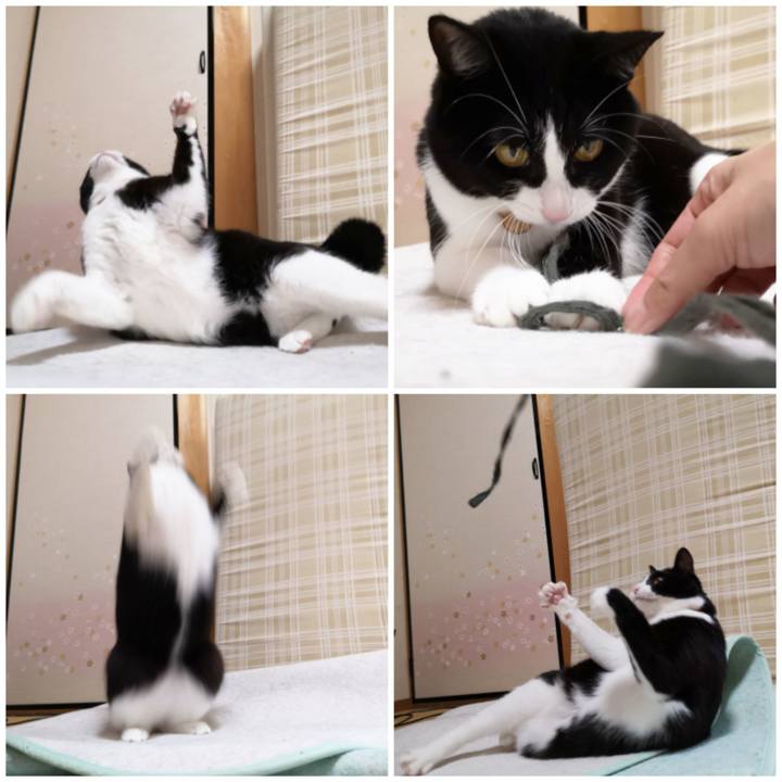 2211f236 e4df 4cc5 92e4 82ef7b378190 1571558790252