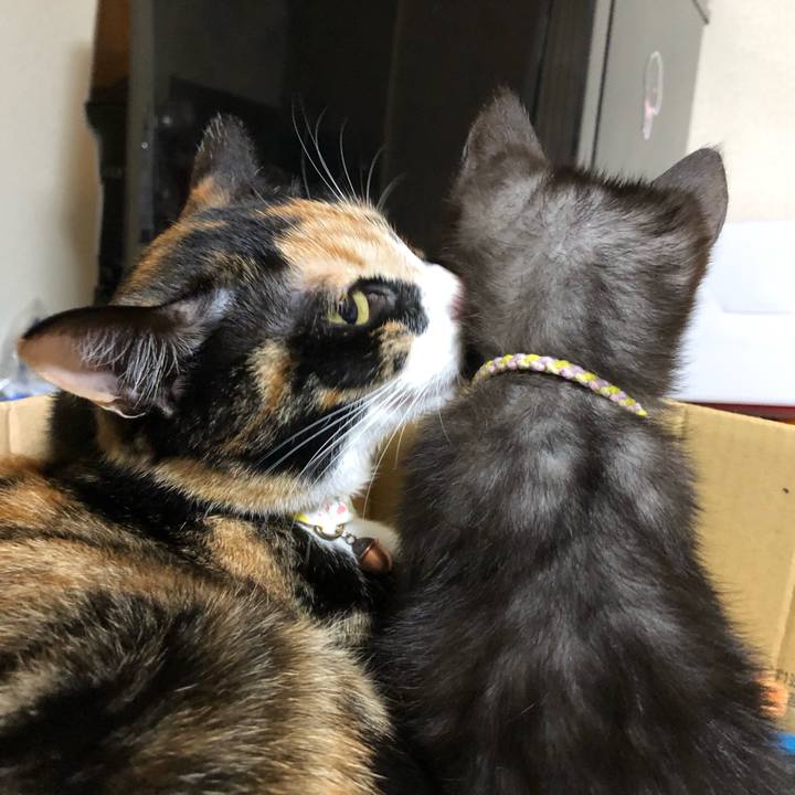 22120d25 c6c9 4c39 92d1 a6b944153f31 1605979266879