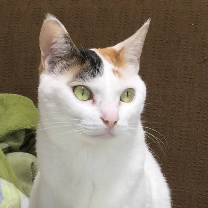 2212291d d704 4947 8e2c 15e621f72ad4 1618384687154