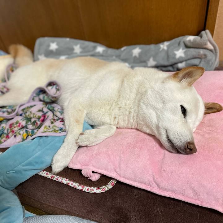 22125a0b af74 4775 b092 fbce16992baf 1646998284491