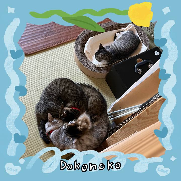 22125ec1 fda9 4b7f 8405 ee58c60ade5d 1771829169696