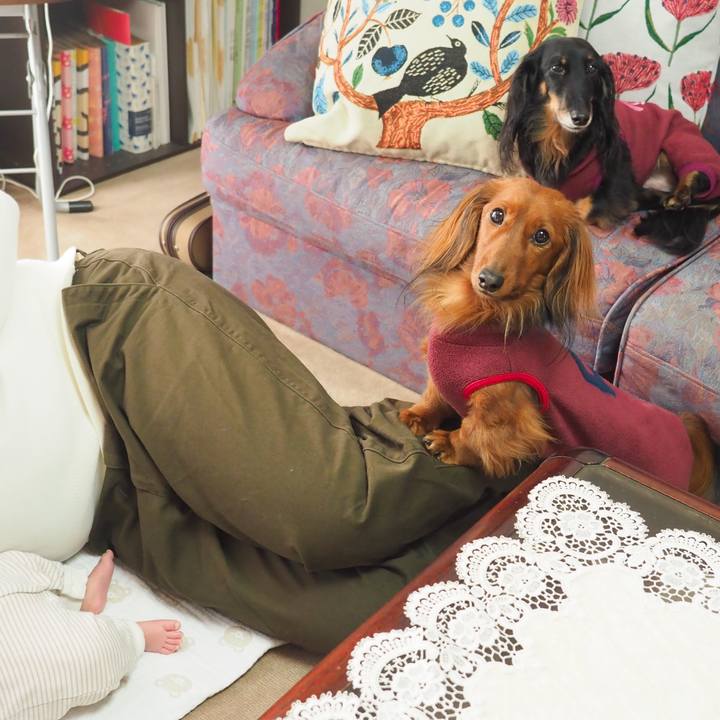 2212c464 0fca 4a22 8f2f 654606ba566c 1770885133067