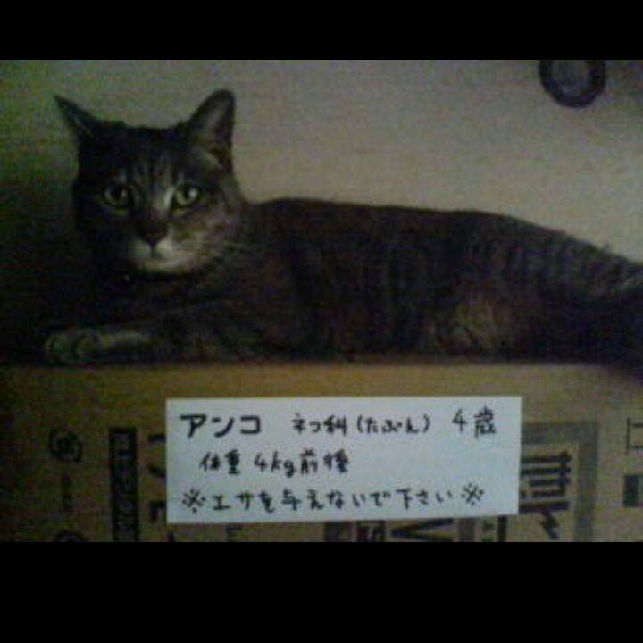 2212c4d2 f27a 49f8 bf2d f9f66db232f3 1521598217639