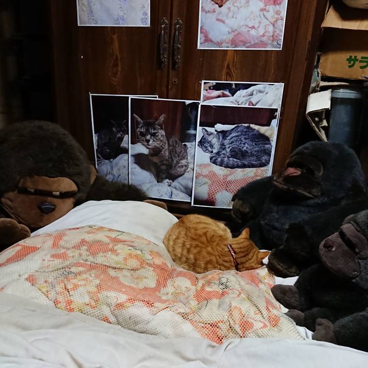 2213568c 17fc 4078 afe6 e802384fd837 1608457703382