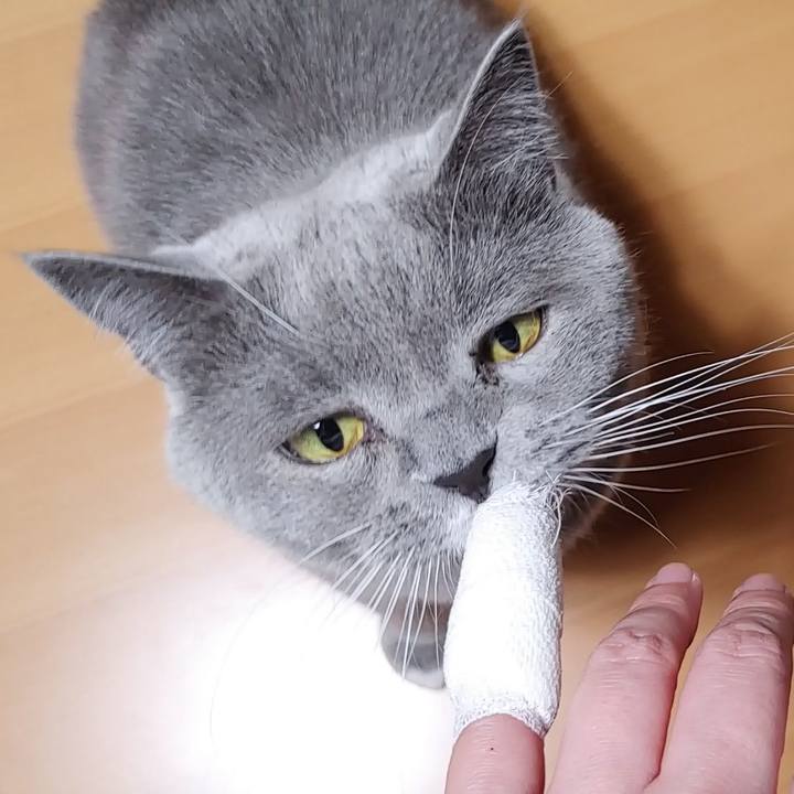 22136749 a78f 4894 98d9 3d57378887ca 1637754830217