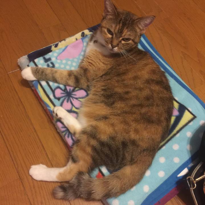 22136d8e ed22 42b2 bc4e 41cfb89dffd4 1569236482686