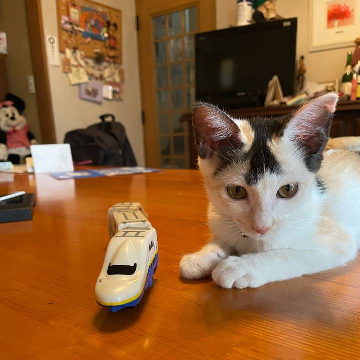 22137b9d fd39 4cec 9e20 918a1e5bfde8 1659830982868