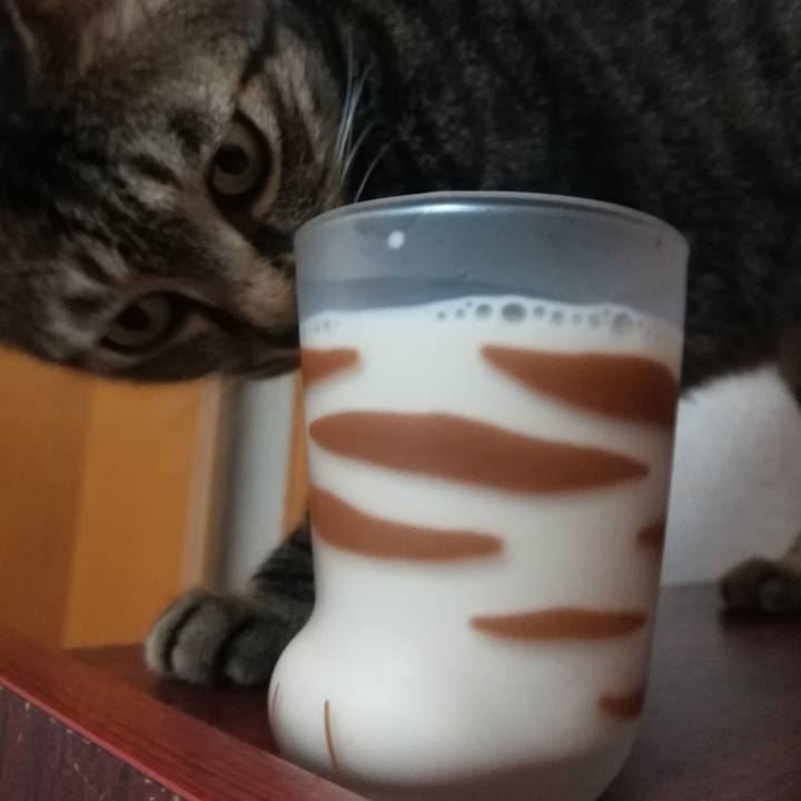 2213cd89 9d37 4162 9779 9d29dffd9e26 1562840031609