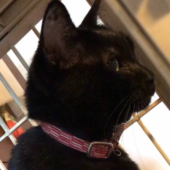 2213ce7c 05b1 468b 98a0 2f3b7a27782a 1561269521244