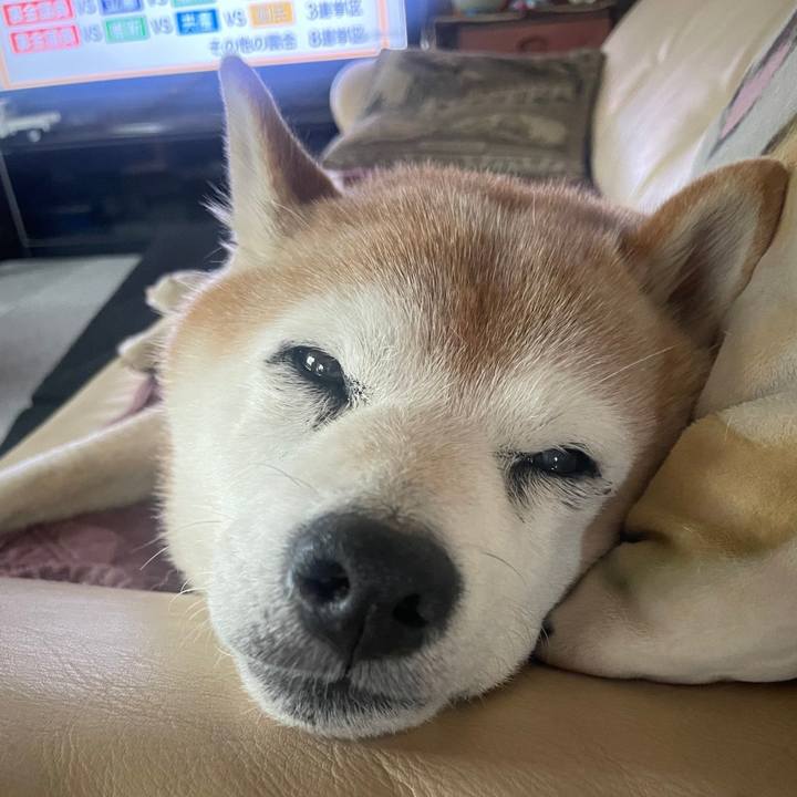 2213ea7b 6ba5 403b 8dfb c1129a8336e1 1728308127358