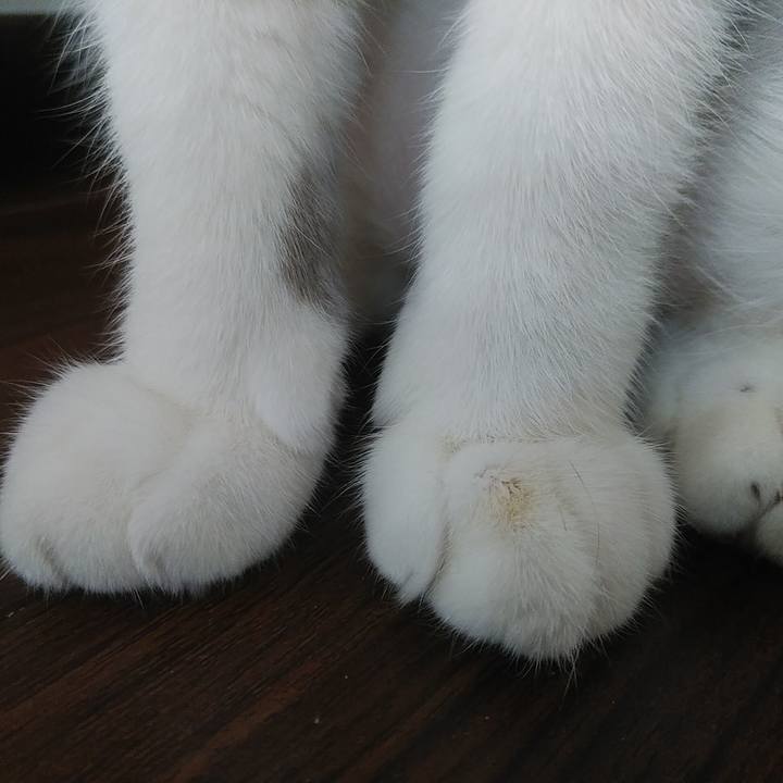 2213eca4 cee3 44af 8306 9582db2d5ac7 1587438389297