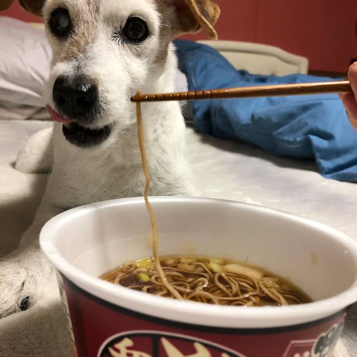 2213ff8a bfcb 4973 bb04 483d5aa9b6fa 1514739484742