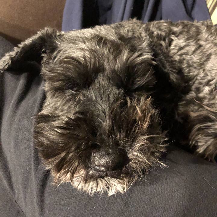 22140f7f 5da5 4c85 baac 554c7facd618 1583925703021