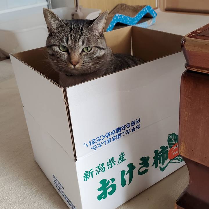 22141f44 b458 4f09 abb1 7d9747728604 1701092427728