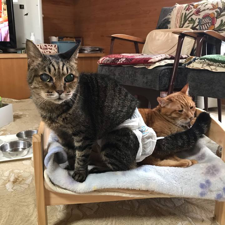 221427c1 2e3f 44ed a763 b4f8d704fac9 1555979816073