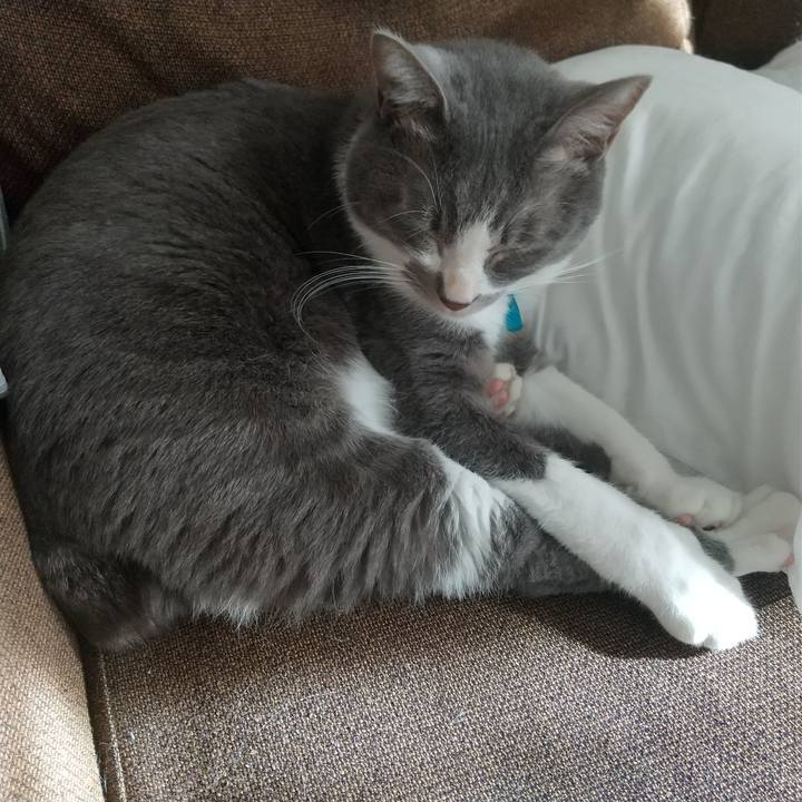 22144722 06f7 4c7e 879c 1f0c913054e0 1639225637509