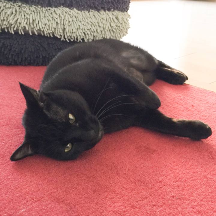 22144748 18a0 4e96 93bb 10b06684a800 1518828795988